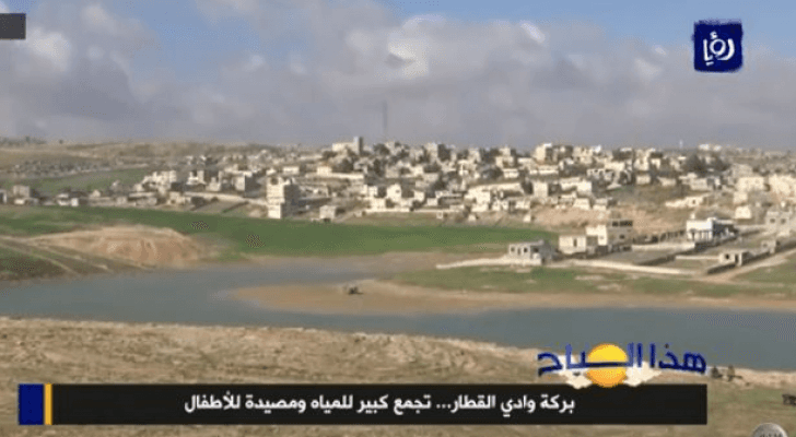 من الفيديو