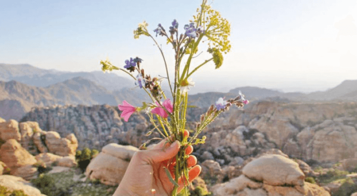 الصورة أرشيفية