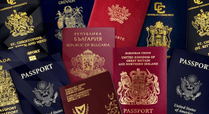 تختلف مميزات برنامج كل دولة من ناحية الفوائد