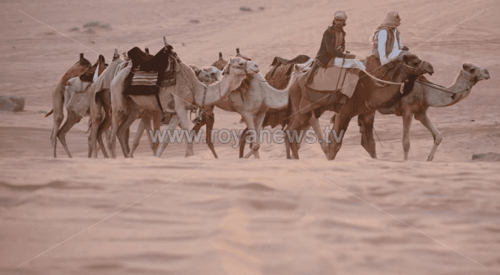 ارشيفية