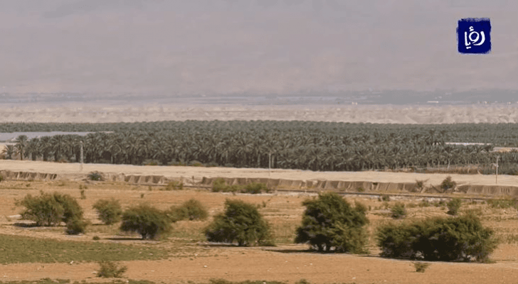 الاحتلال يضيق الخناق على مزارعي التمور في منطقة العوجا