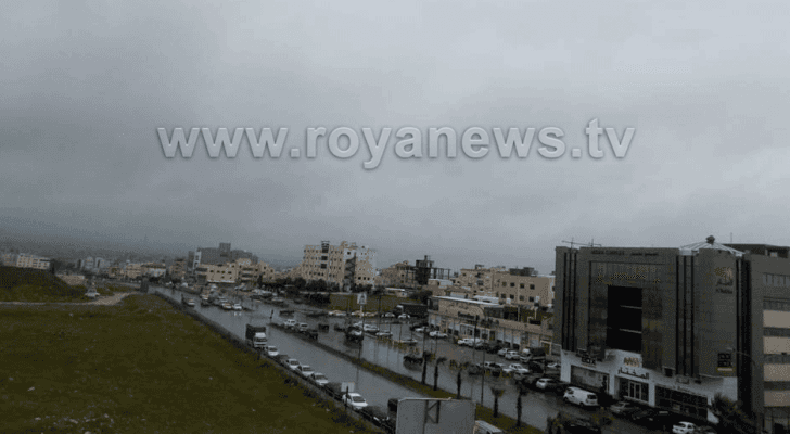 ارشيفية