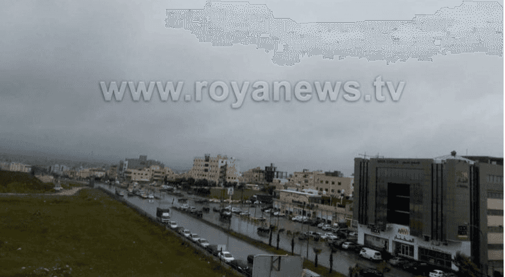 ارشيفية