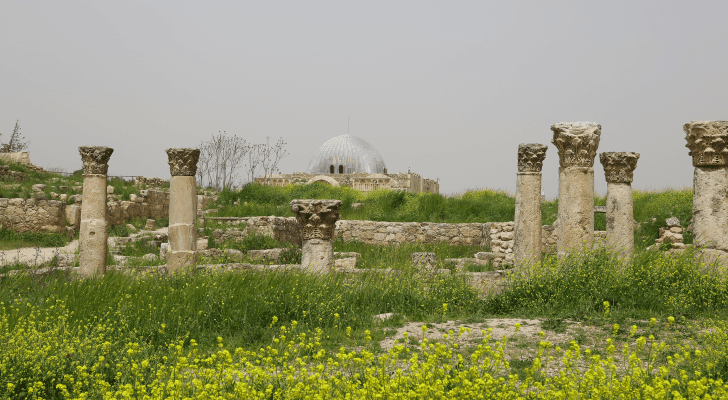 ارشيفية