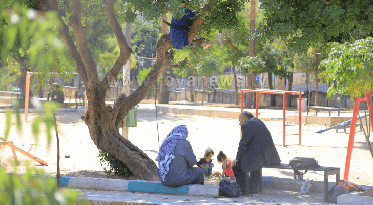 ارشيفية