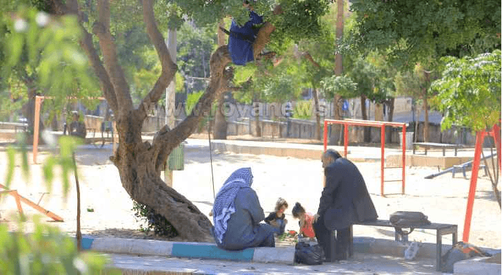 ارشيفية