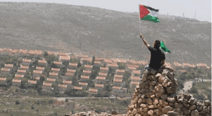 ارشيفية