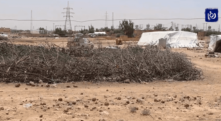 صورة من الفيديو
