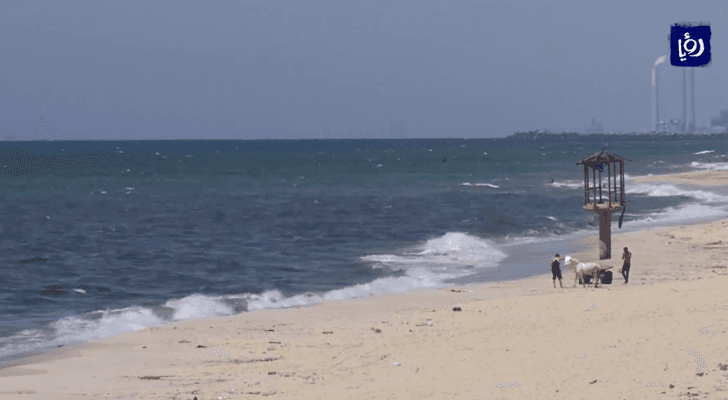 صورة من الفيديو