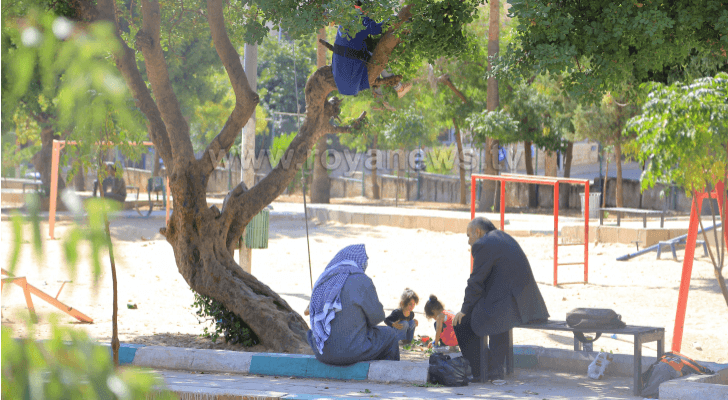 ارشيفية