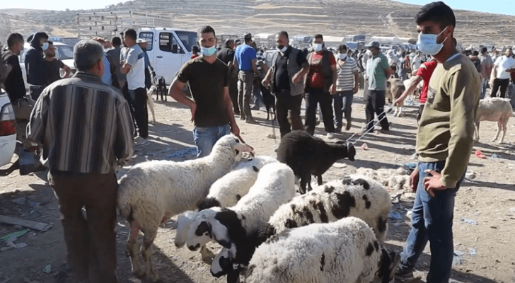 إقبال ضعيف على الأضاحي في فلسطين رغم انخفاض الأسعار