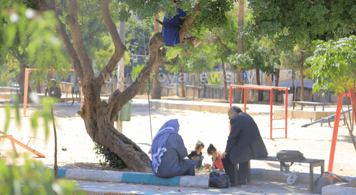 ارشيفية