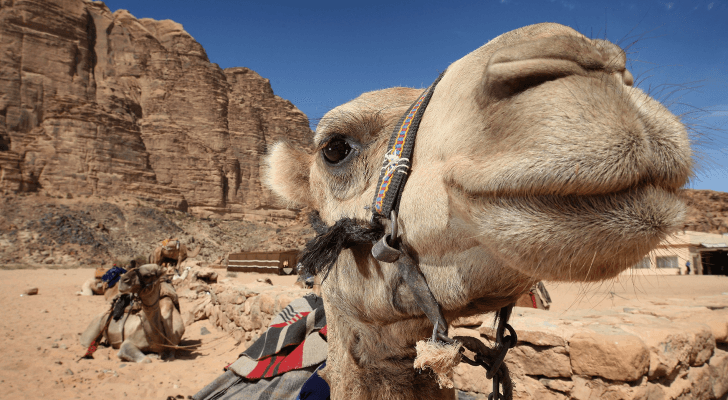 الصورة أرشيفية