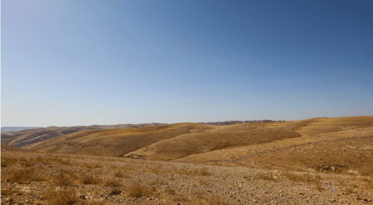 ارشيفية