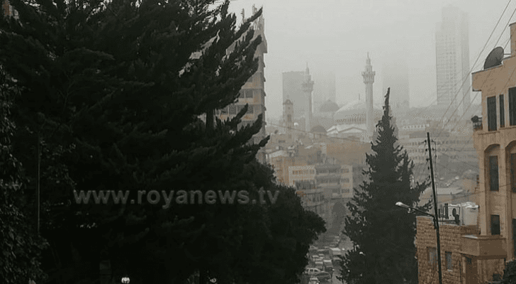 ارشيفية
