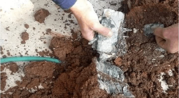 ما حقيقة تخبئة عجوز في الأردن على الاف الدنانير بـ "قواوير زريعة"؟