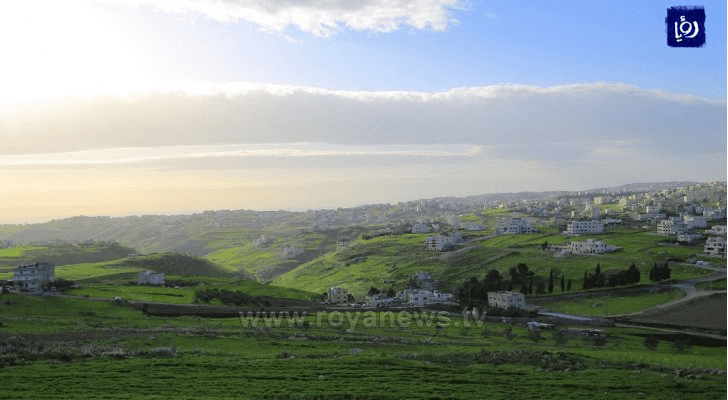 ارشيفية