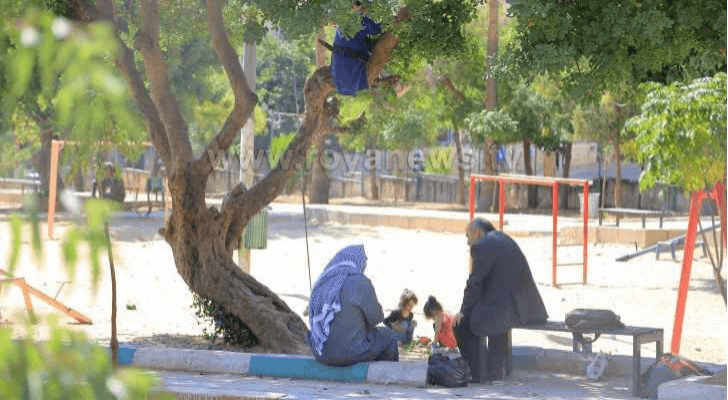 ارشيفية