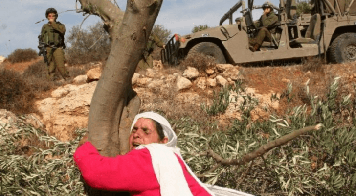 ارشيفية
