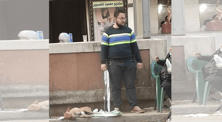 الصورة المتداولة