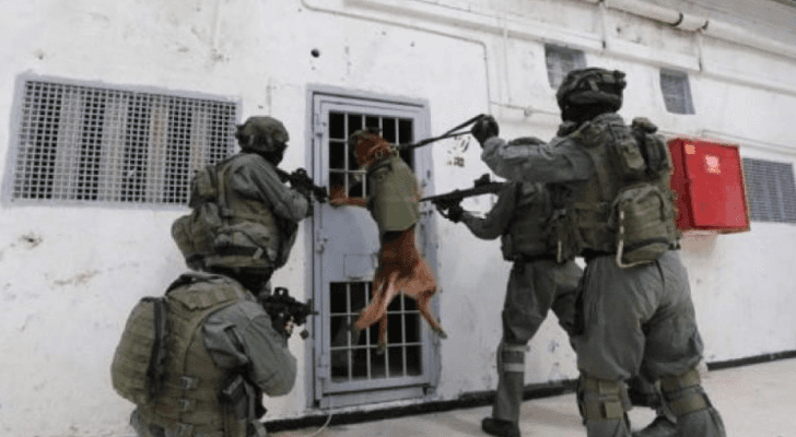 ارشيفية