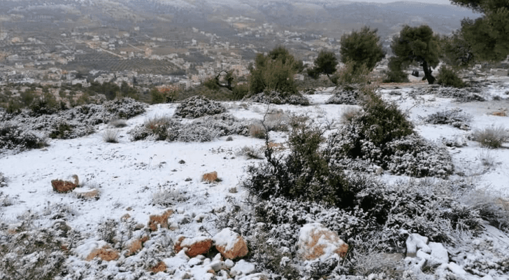 ارشيفية