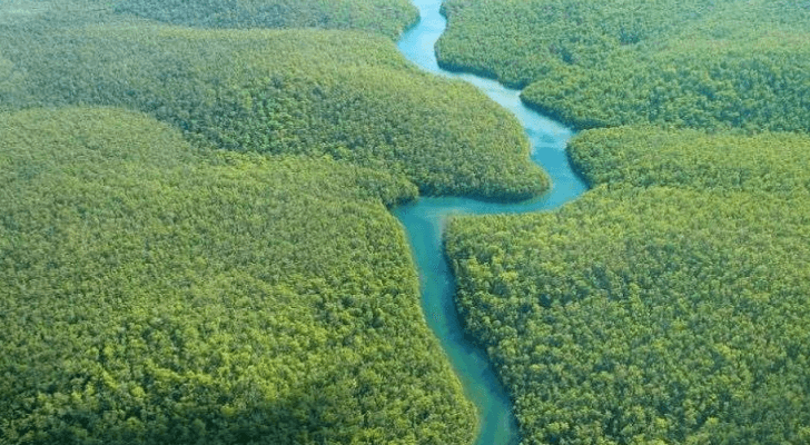 صورة نهر الأمازون المزعومة