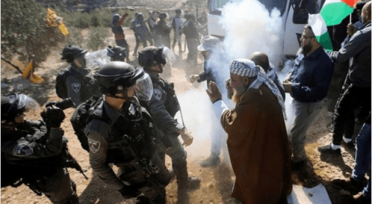 ارشيفية