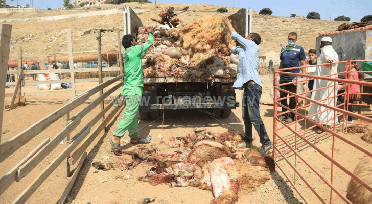 أجهزة الأمانة تنهي تنظيف مواقع بيع الأضاحي