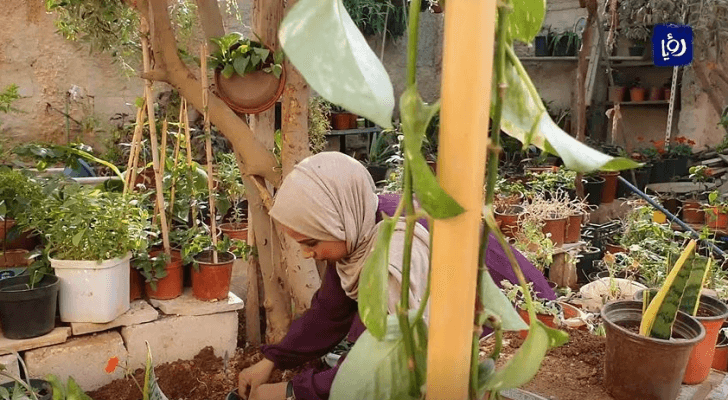 لعدم توفر فرصة عمل.. رهام المشاقبة تحول بيتها إلى مشتل