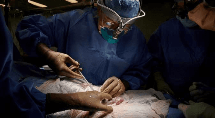 الصورة خلال إجراء العملية الجراحية