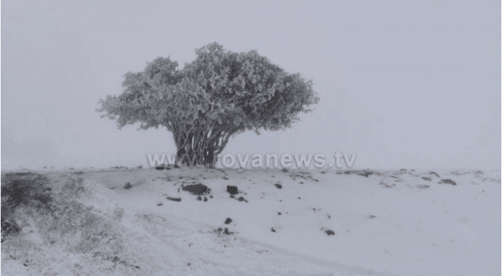 ثلوج - أرشيفية