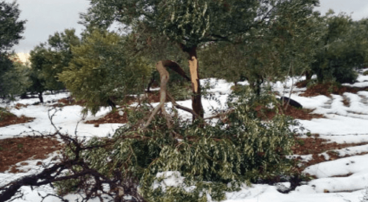 اضرار بسبب تساقط الثلوج - ارشيفية
