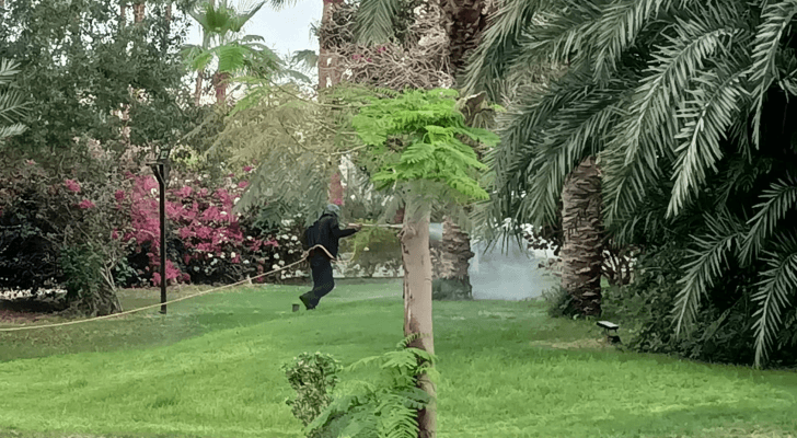 عامل يرش المبيدات لمكافحة الذباب المنزلي في وادي الأردن