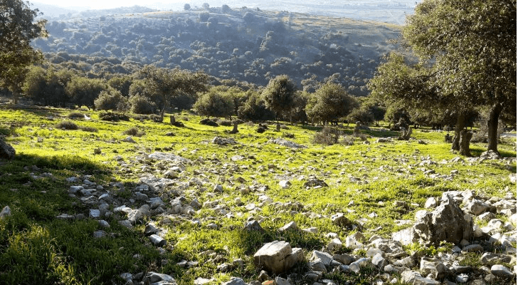 أجواء مشمسة وربيعية