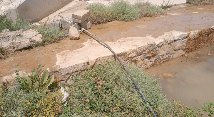 جانب من الاعتداءات التي ضبطت في معان