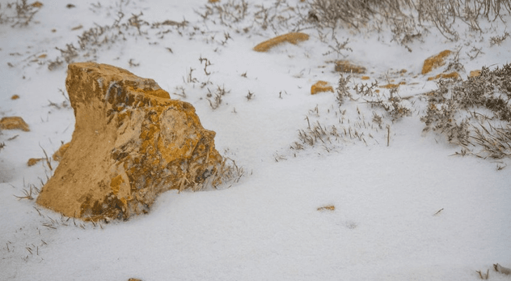 صورة أرشيفية للثلوج فوق المرتفعات الجنوبية للمملكة