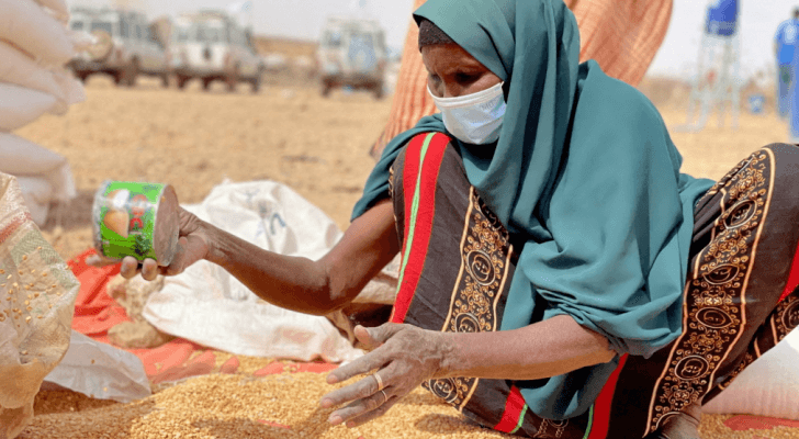 أزمة الغذاء العالمية