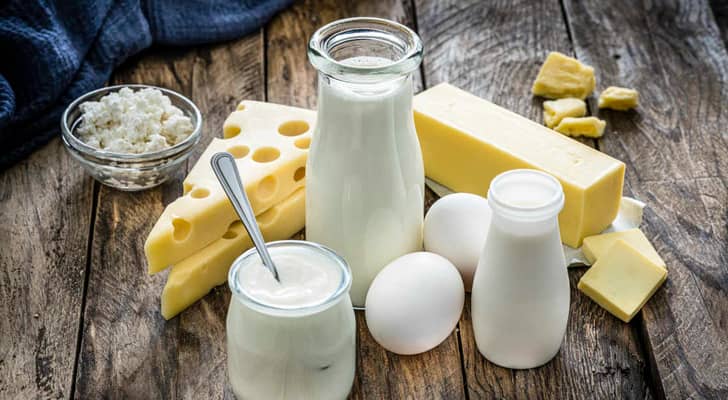 منتجات الألبان