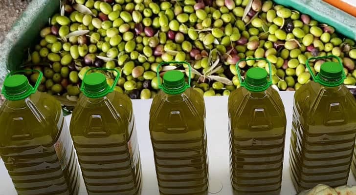عبوات زيت الزيتون
