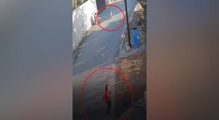 صورة مقتطفة من الفيديو الذي يظهر هجوم الكلب الضال على الطفلة
