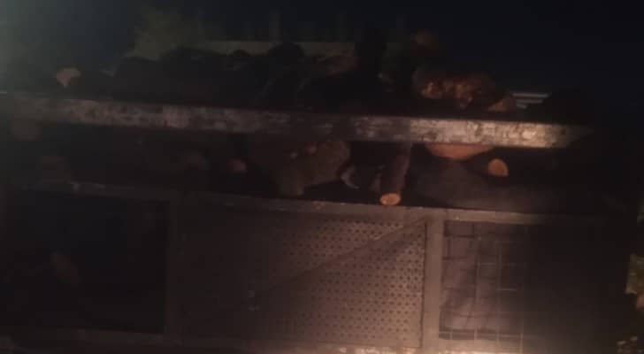 سرقة حطب