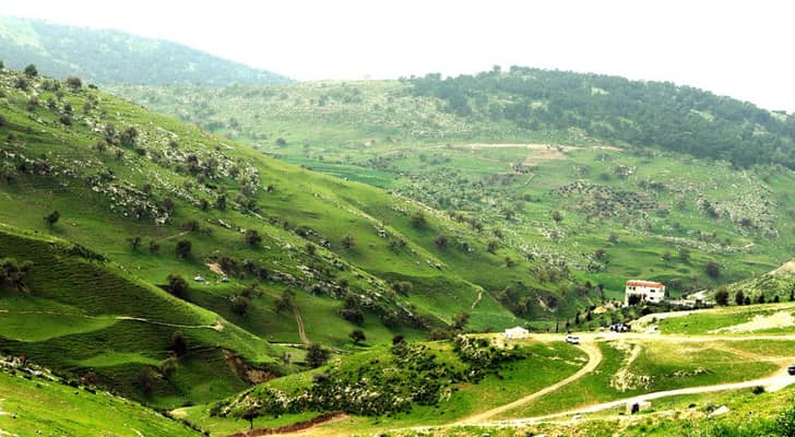 الربيع في الأردن