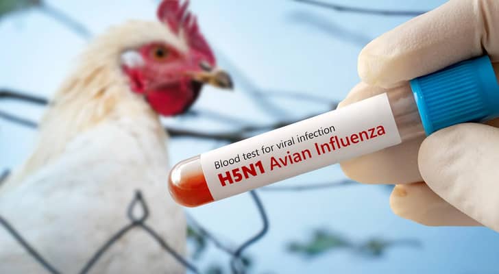 عدوى فيروسية تحمل علامة "إنفلونزا الطيور H5N1"