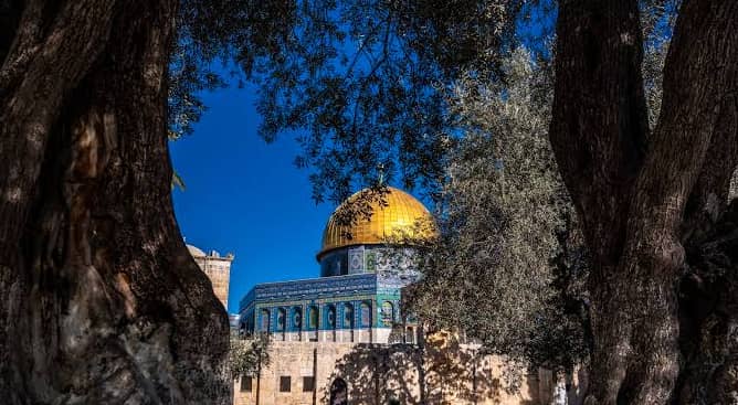 محافظة القدس: اقتحام 458 مستعمرا وسائحا للأقصى وتفتيش...
