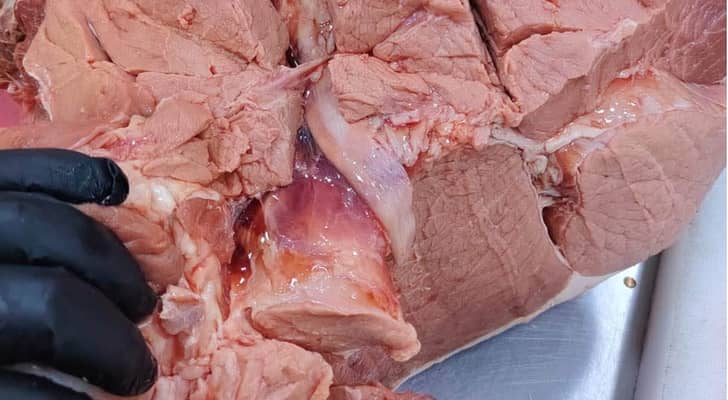 للمرة الثانية بنفس اليوم.. الغذاء والدواء تضبط كميات من...