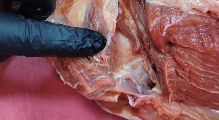 المناصير لـ"رؤيا": بلدية الكرك ضبطت خلال جولتين 205...