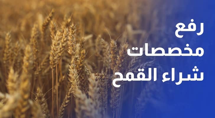 الحكومة ترفع مخصصات شراء القمح والشعير 31% لتعزيز المخزون الاستراتيجي