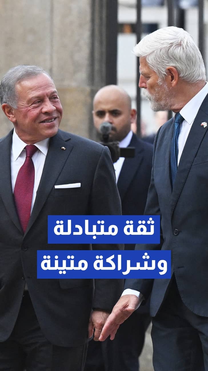 الملك يؤكد استمرار الأردن باتخاذ جميع الإجراءات اللازمة لحماية أمنه وسيادته وسلامة مواطنيه