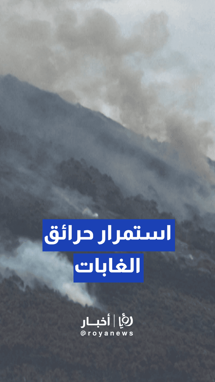 استمرار اشتعال حرائق الغابات في كيتو والسلطات الإكوادورية تجلي عشرات السكان